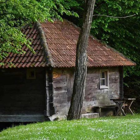 Kuca Za Odmor Todorovica Mlin Дом отдыха *