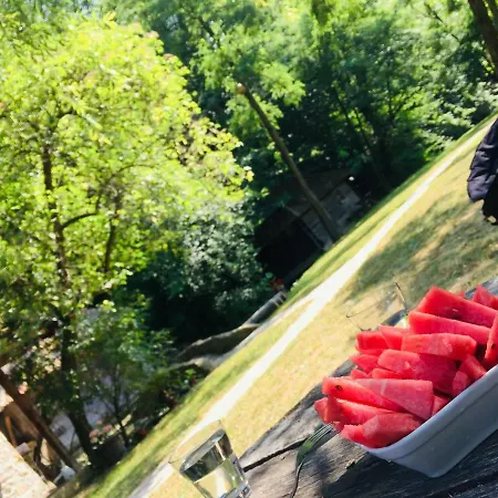 Kuca Za Odmor Todorovica Mlin * Горни-Милановац