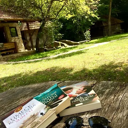 Дом отдыха Kuca Za Odmor Todorovica Mlin *